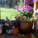 Apartmán Reiner