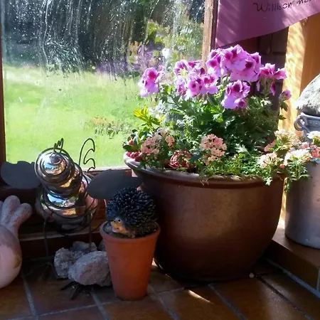 Διαμέρισμα Reiner