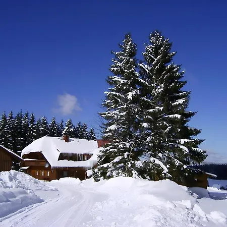 Reiner * Schonach im Schwarzwald