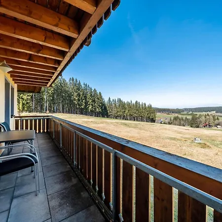 Reiner Apartment Schonach im Schwarzwald