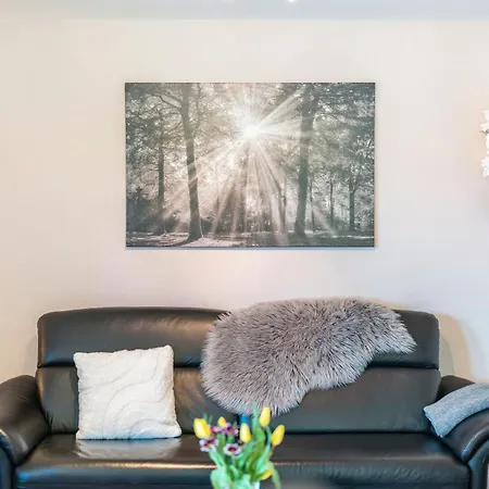Reiner Apartment Schonach im Schwarzwald