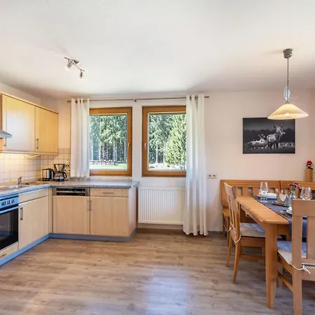 Reiner Apartment Schonach im Schwarzwald