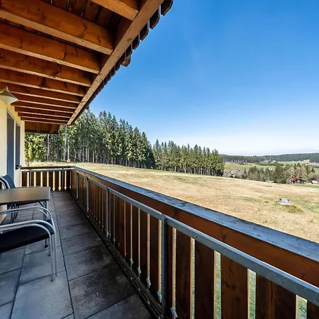 Reiner Apartment Schonach im Schwarzwald